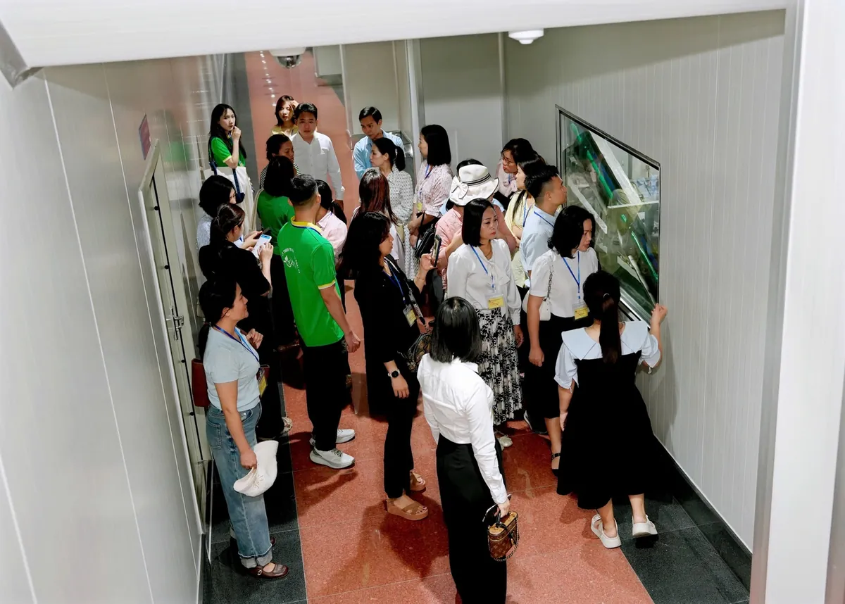 Đoàn đi theo hành lang quan sát trong nhà máy