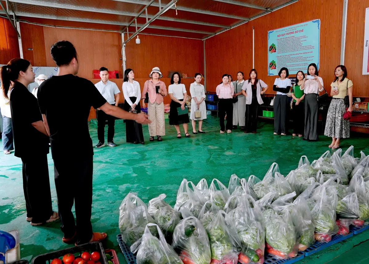 Đoàn tham quan xưởng sơ chế rau HTX Vân Nội