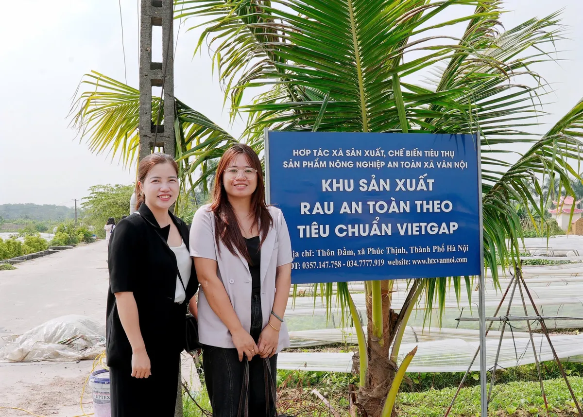 Biển khu sản xuất rau an toàn theo tiêu chuẩn VietGAP