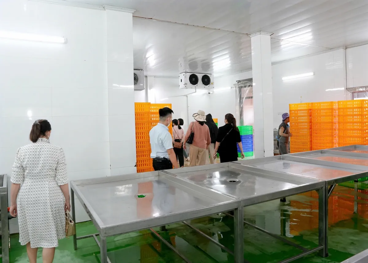 Phòng sơ chế gia cầm tại Công ty Thành Lợi